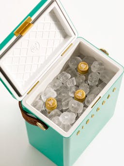 Parisian green fieldbar drinks box  Hadeda    - Collagerie