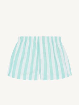 The Boxer: Weave, Mint stripe shorts Shorts With Nothing Underneath    - Collagerie