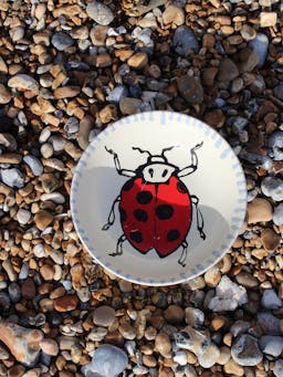 Ladybird bowl ceramics Amuse La Bouche    - Collagerie