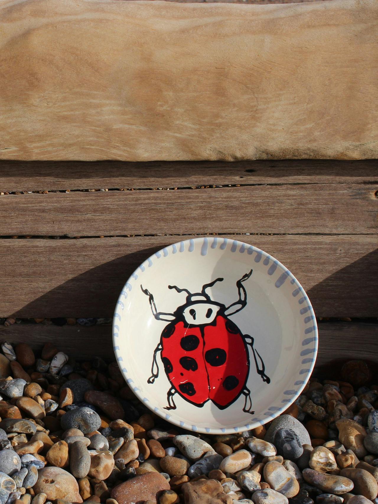 Ladybird bowl ceramics Amuse La Bouche    - Collagerie