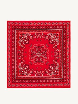 Neckerchief: Cotton, red paisley scarf With Nothing Underneath    - Collagerie