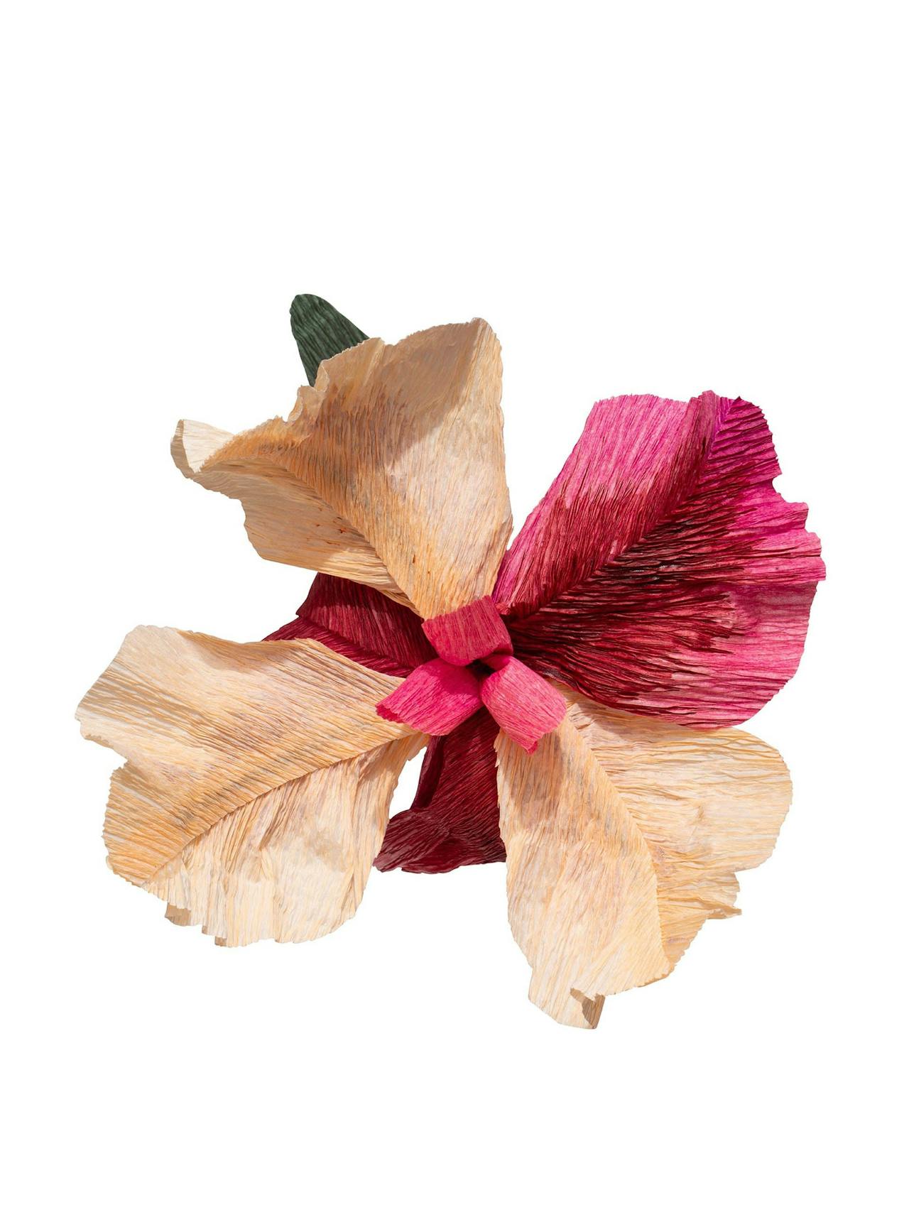 Iris Paper Flower