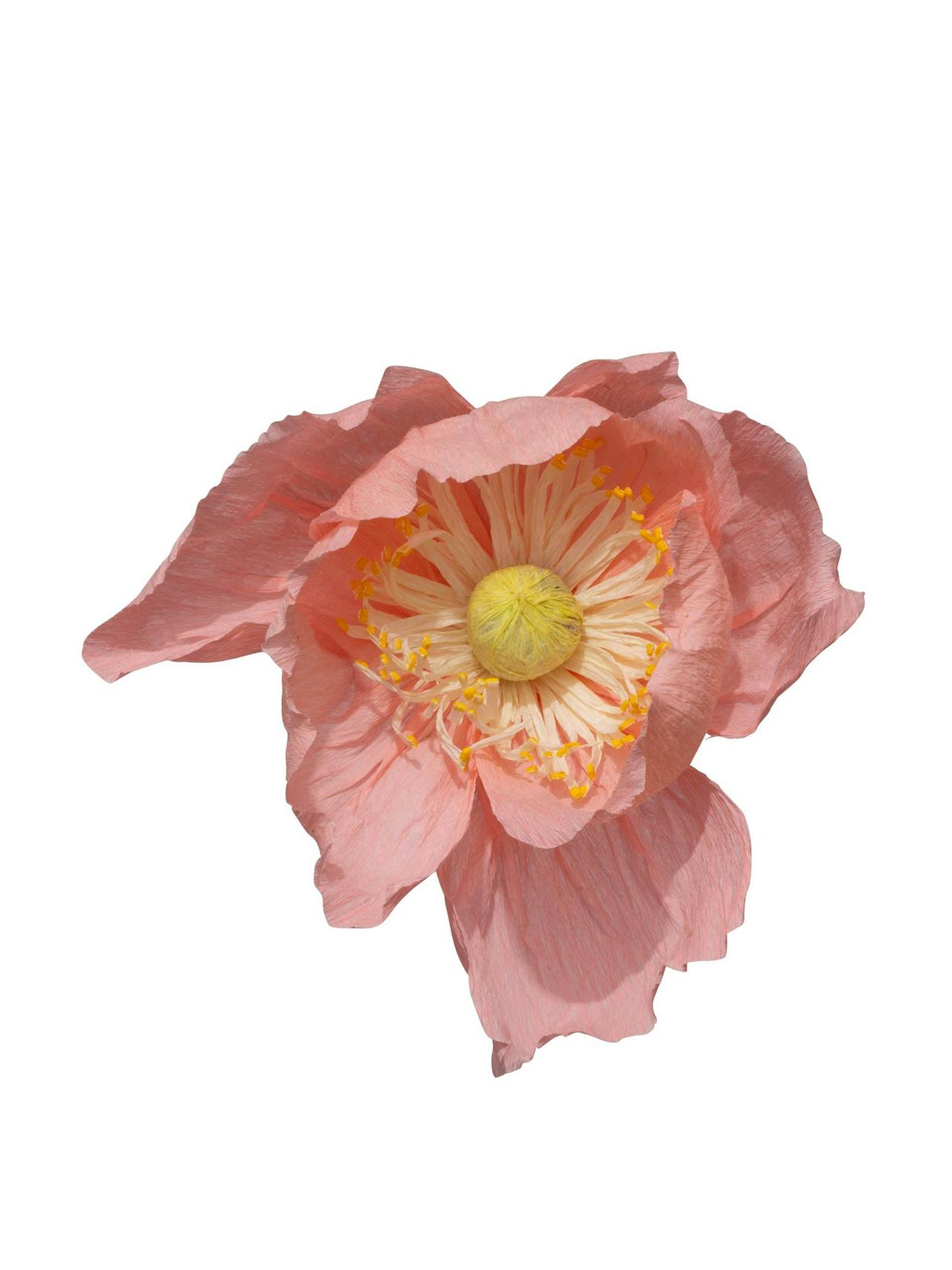 Poppy paper flower  Dar Leone    - Collagerie