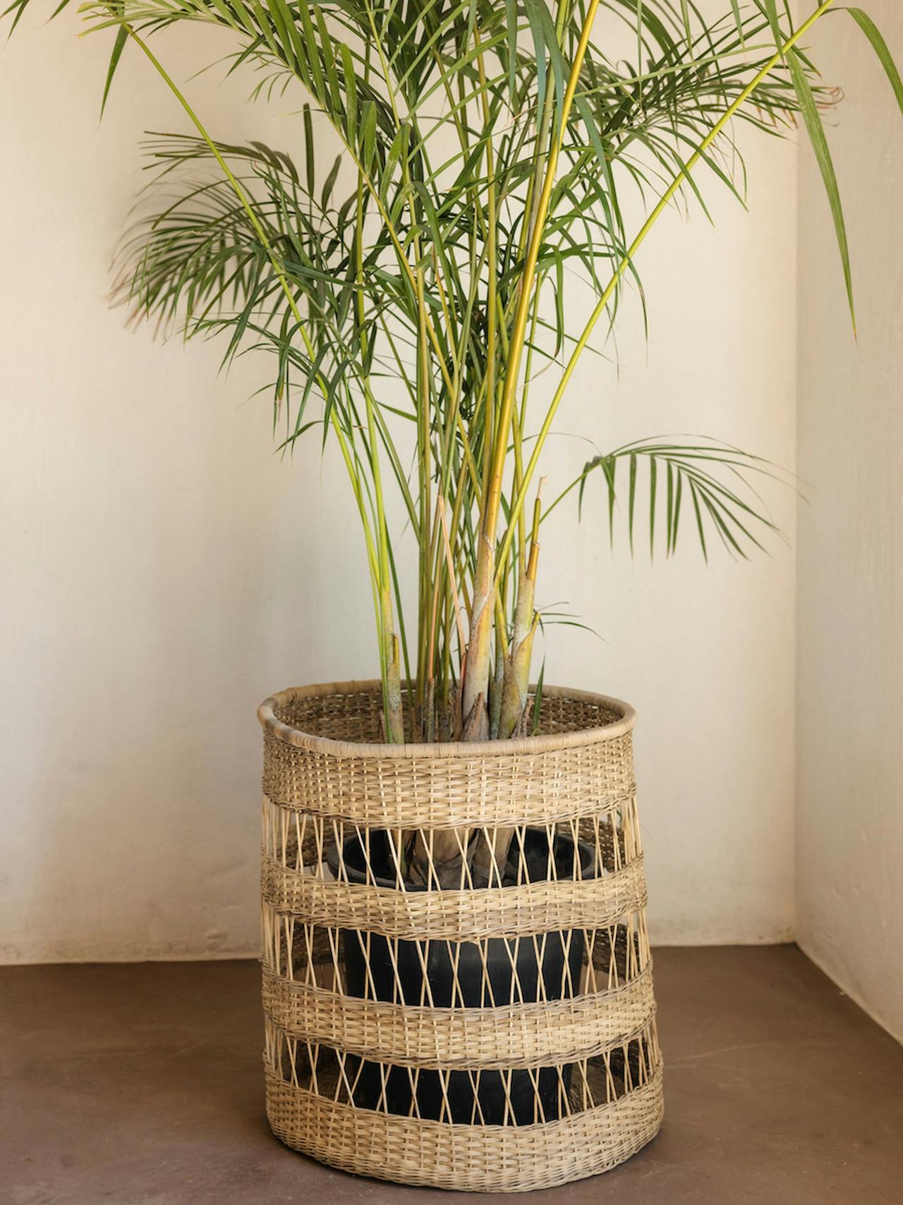 Round open weave cane planter Basket Hadeda    - Collagerie