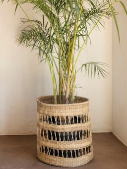 Round open weave cane planter Basket Hadeda    - Collagerie