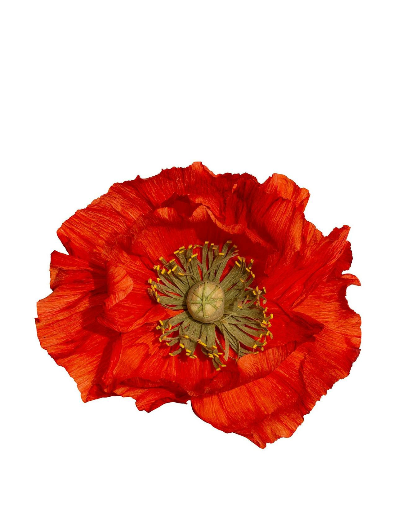 Poppy paper flower  Dar Leone    - Collagerie