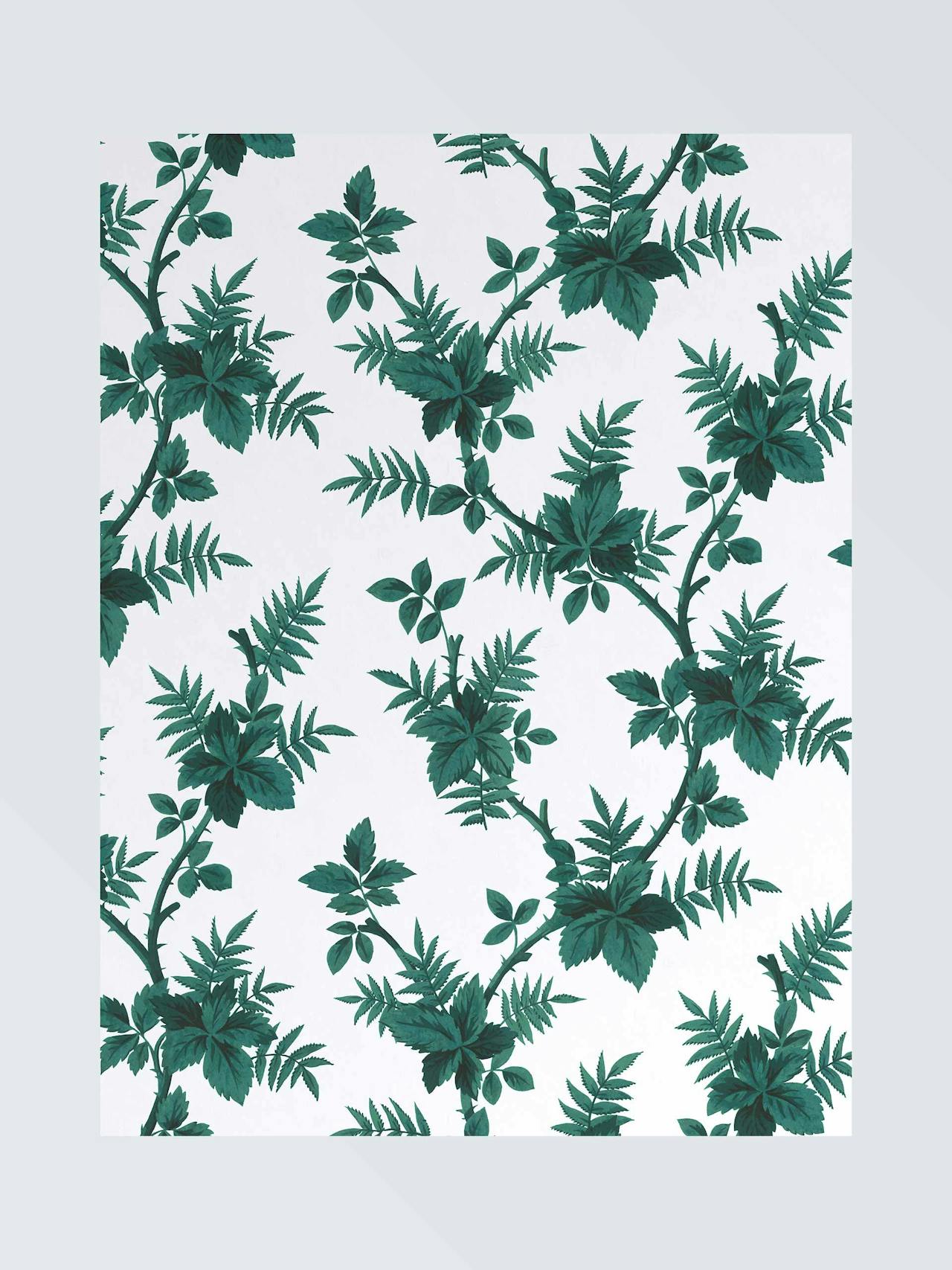 Botanical vine wallpaper