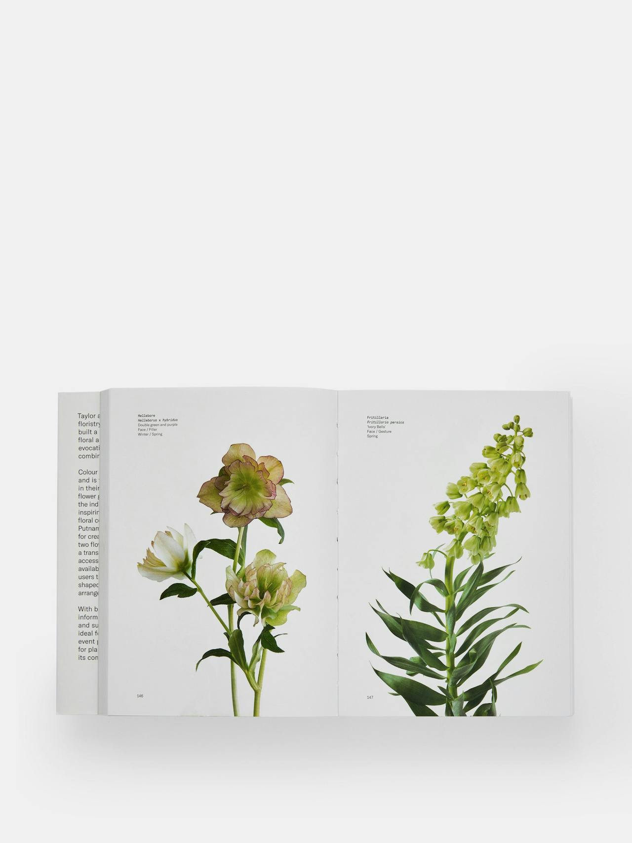 Flower Colour Guide Book Phaidon    - Collagerie