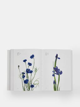 Flower Colour Guide Book Phaidon    - Collagerie