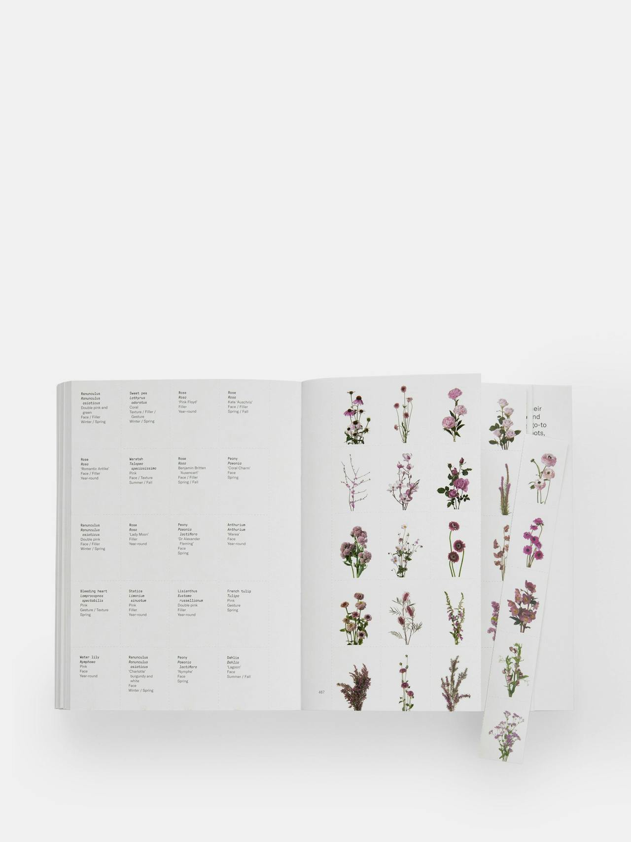 Flower Colour Guide Book Phaidon    - Collagerie