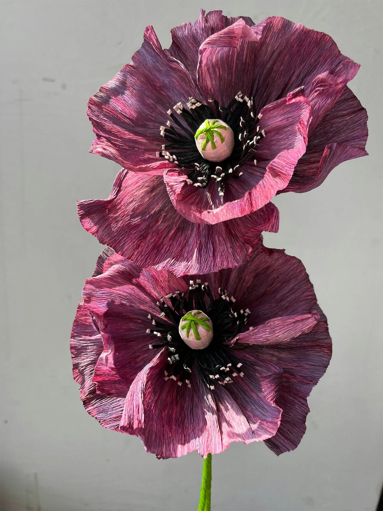 Poppy paper flower  Dar Leone    - Collagerie