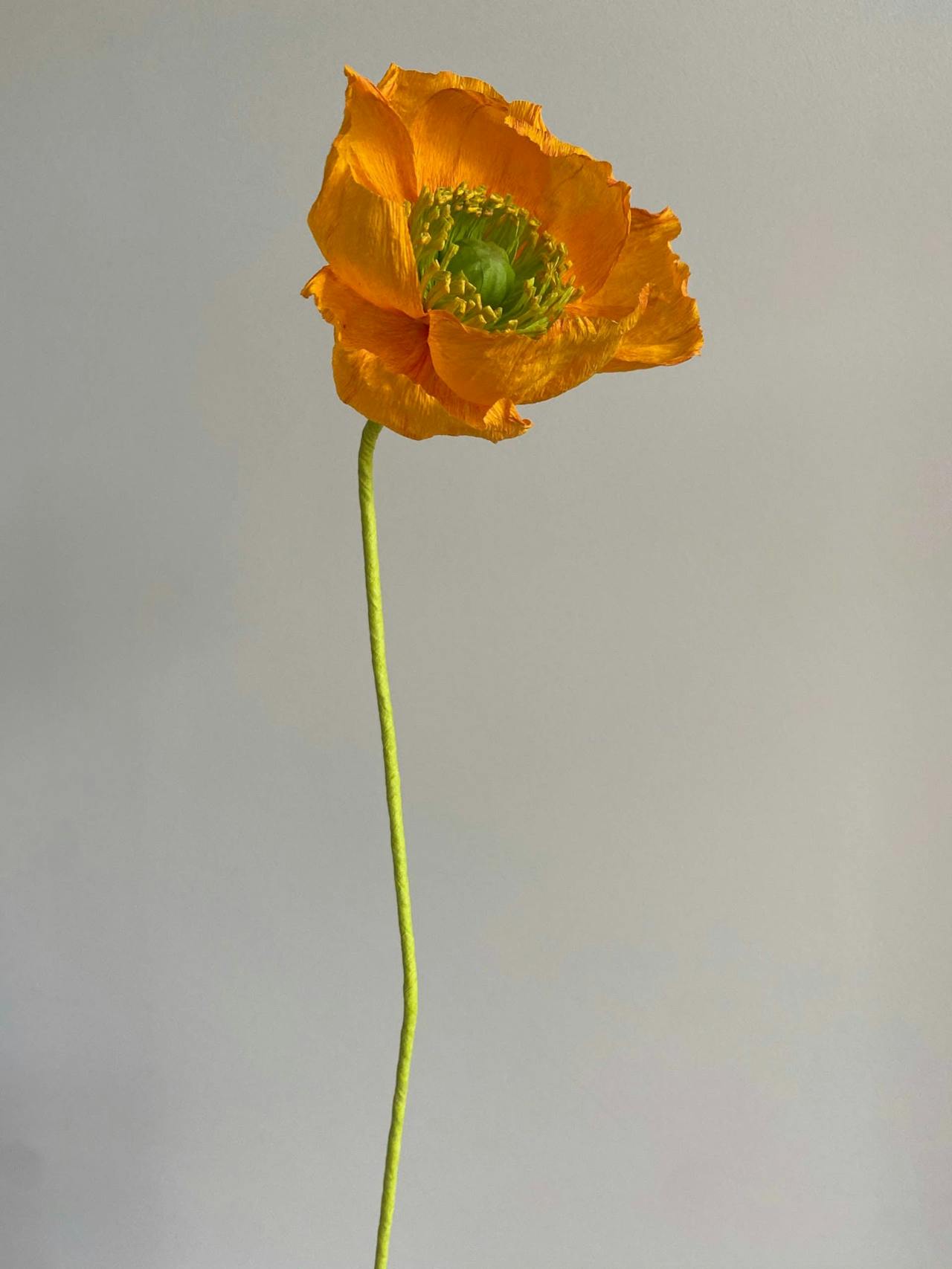 Poppy paper flower  Dar Leone    - Collagerie