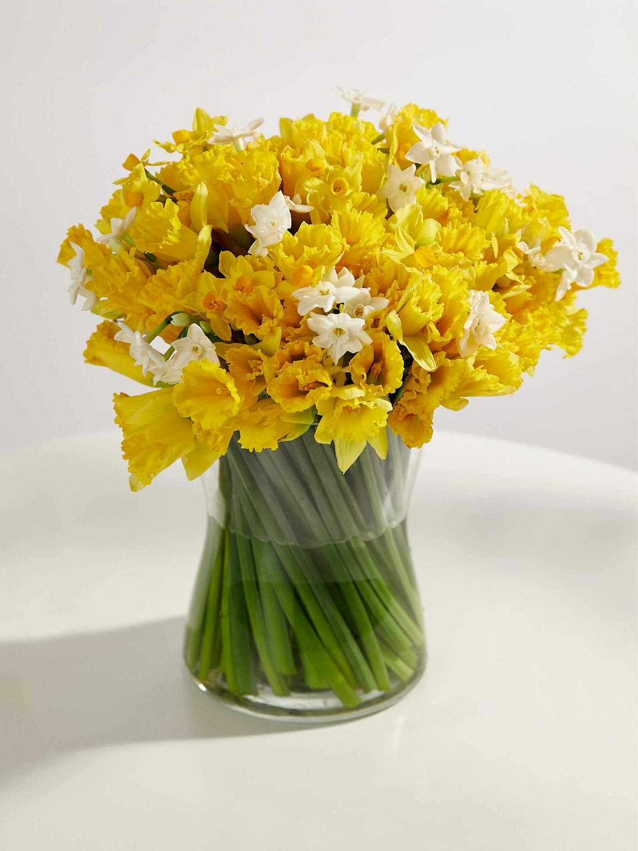 100 British Daffodils & Narcissus bouquet