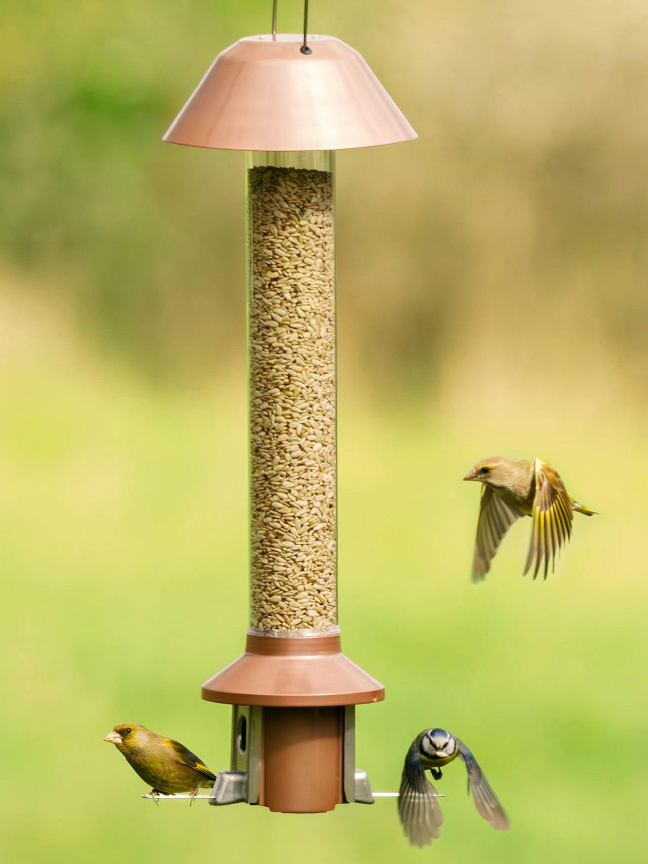 PestOff squirrel-proof bird feeder