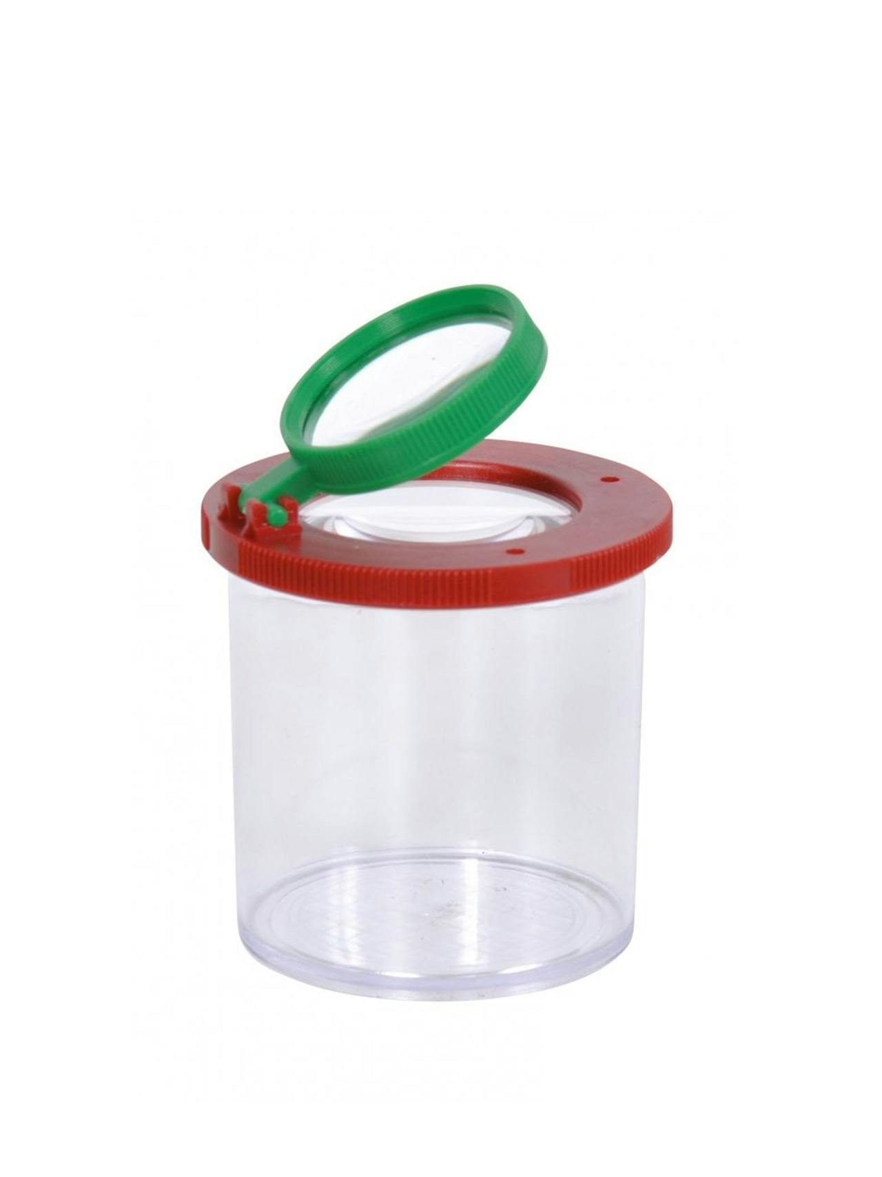 Insect magnifier box