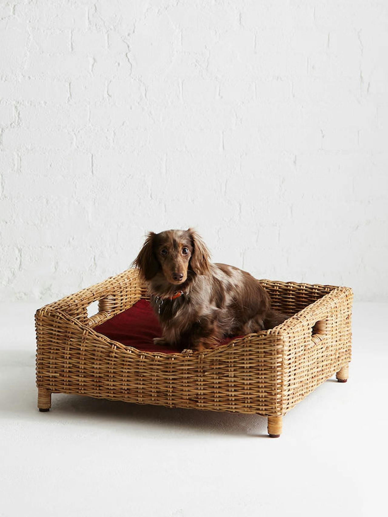 Kway raised rattan pet bed Interiors Kalinko    - Collagerie