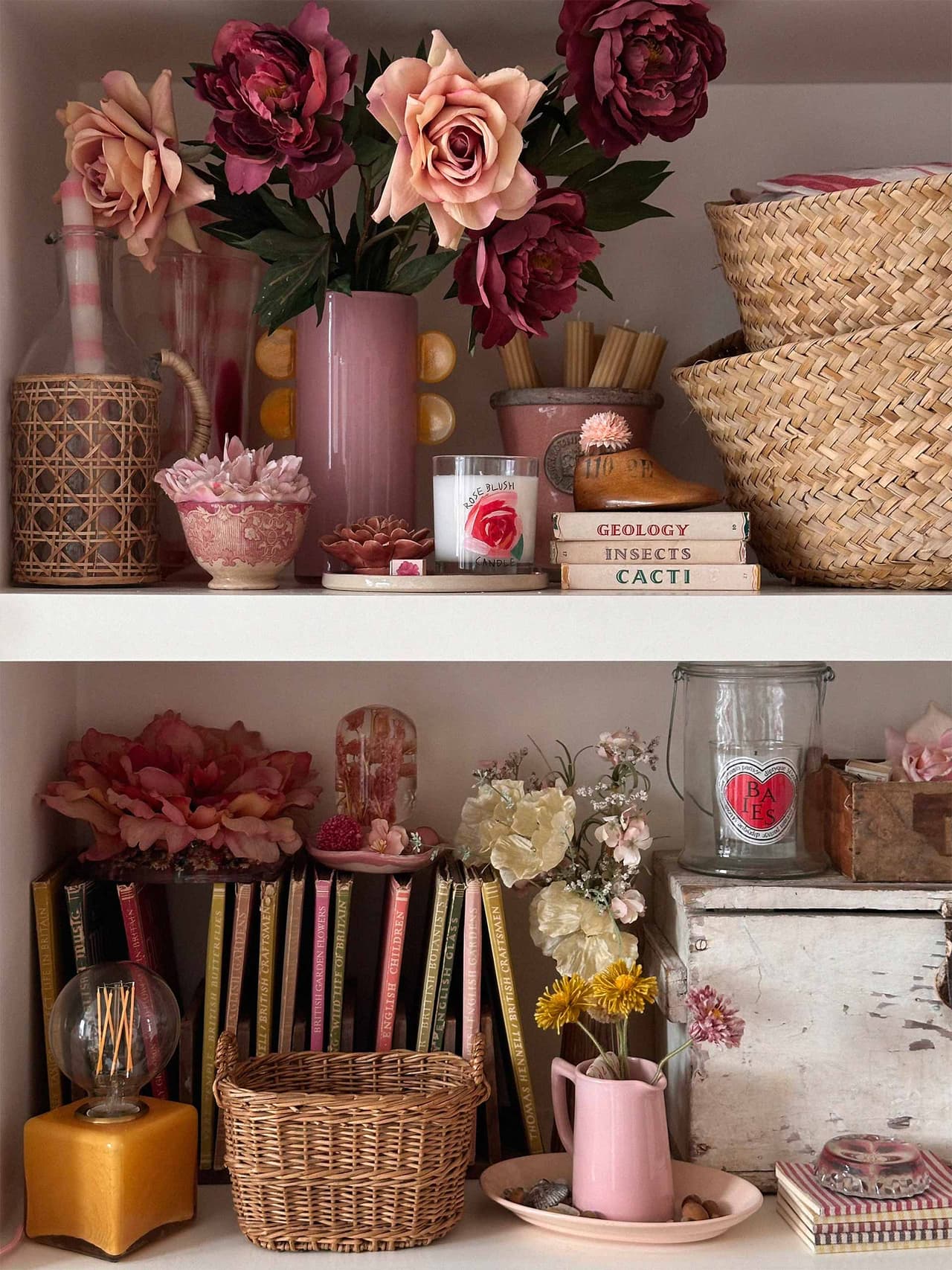 c-ob-violet-dent-shelfie