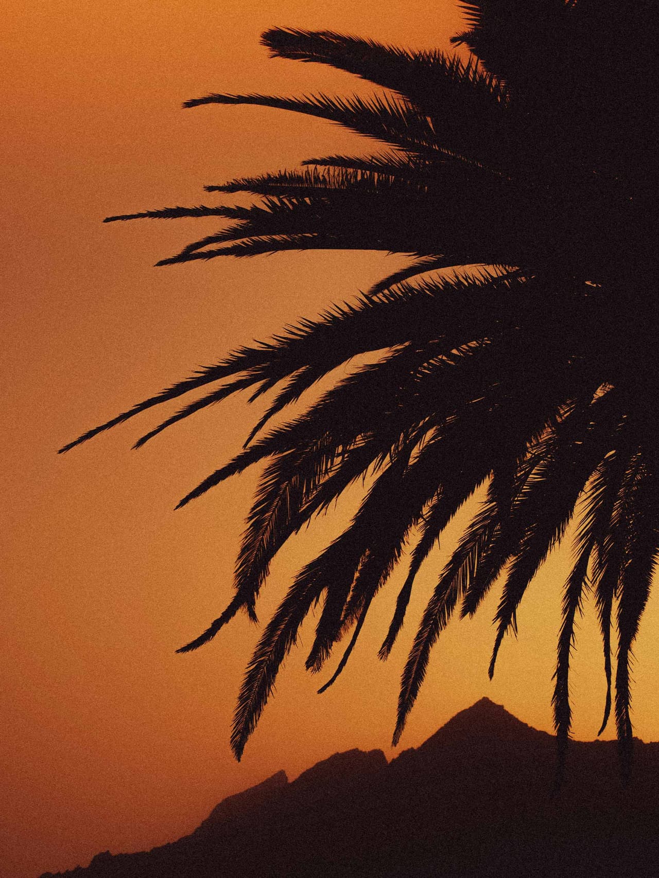 sunset-holding-luke-thornton-unsplash Image: Luke Thornton