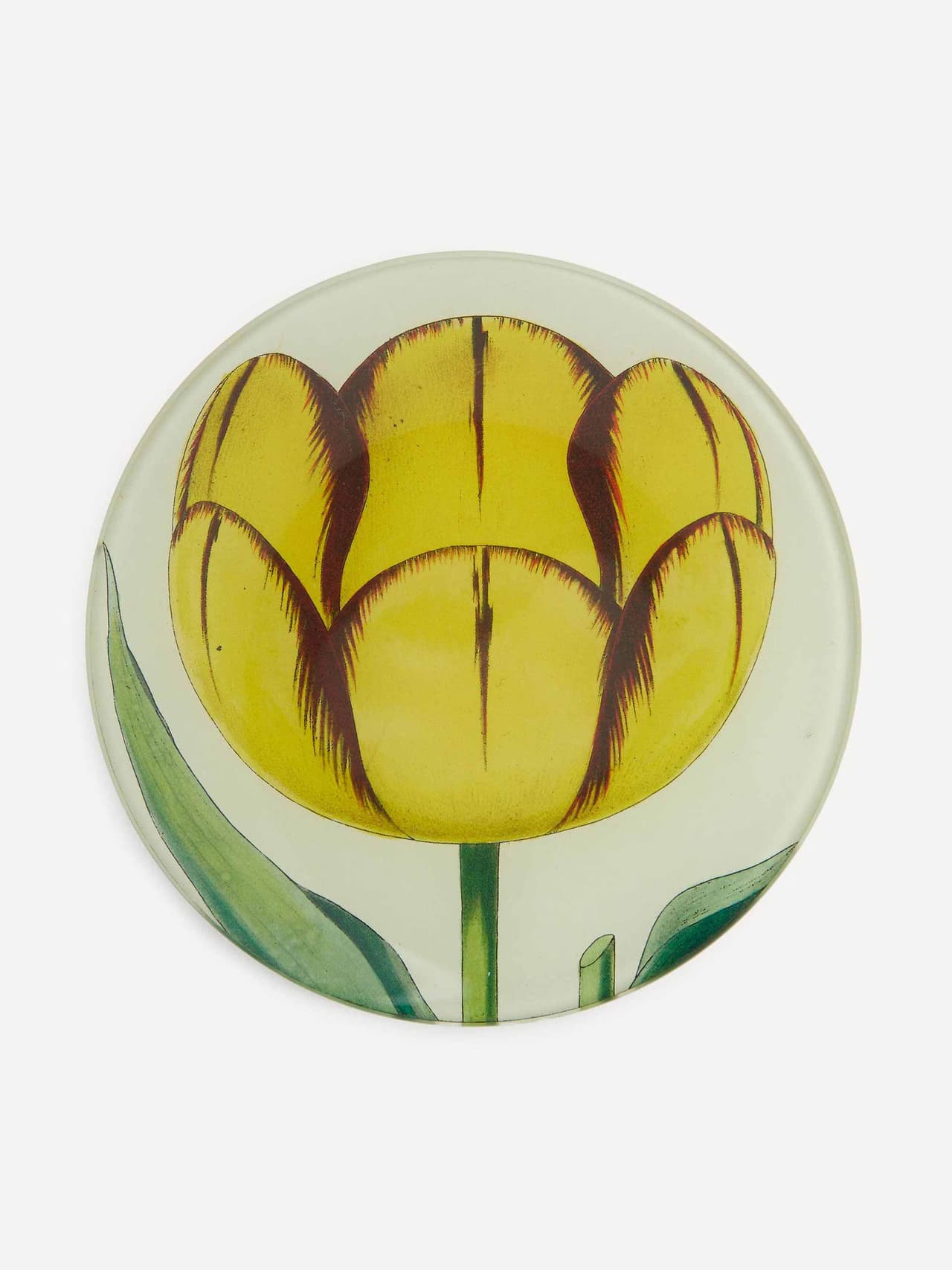 hp-john-derian-tulip-plate